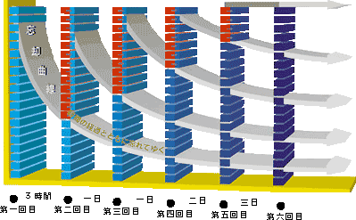 忘却曲線